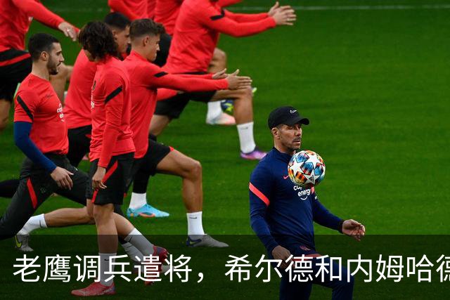 老鹰调兵遣将，希尔德和内姆哈德联手进军黄蜂